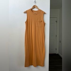 Everlane the Long Weekend Tank Dress